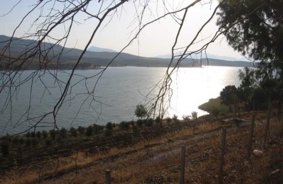 5 ettari terreno in riva al lago + rudere di antico baglio Lago Poma, Monreale &#8211; (PA)